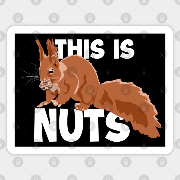 This Is Nuts Japanese Fox Eastern Gray Squirrel Sticker by GraphicsLab